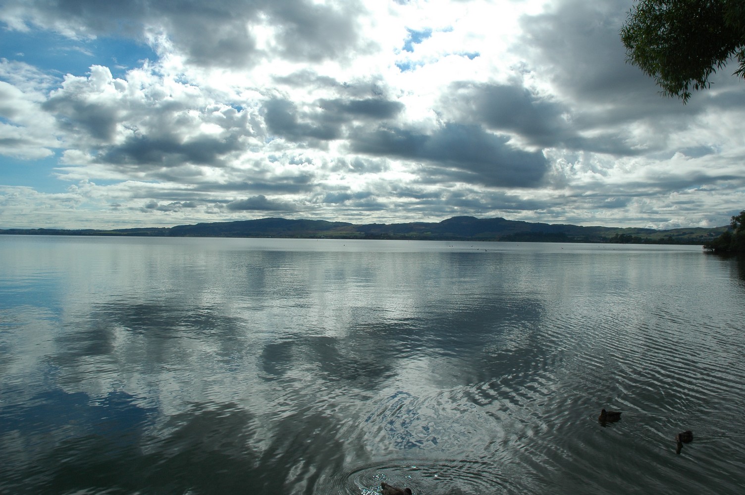 368   04 02   Rotorua